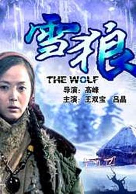 暗网TV《雪狼2006》免费在线观看