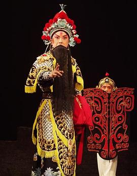 暗网TV《袁崇焕2009》免费在线观看